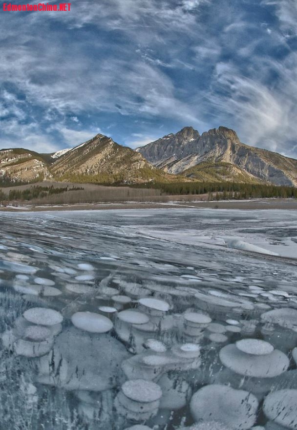 frozen bubbles.JPG