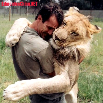 lion-cuddle.jpg