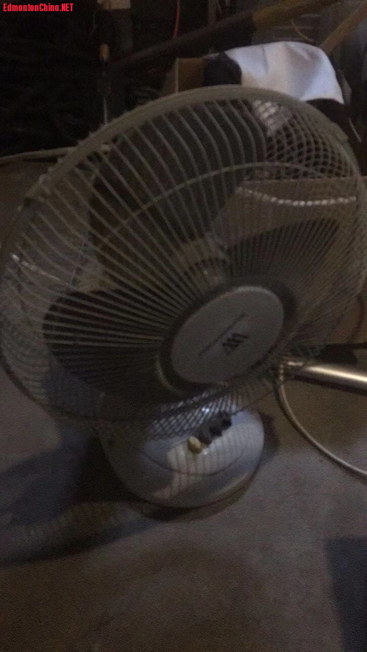 s fan.jpg